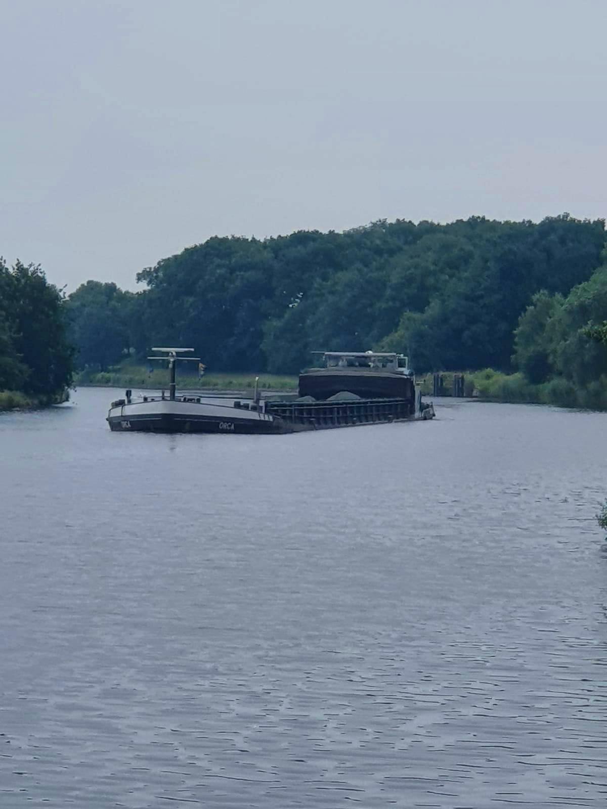 Orca — thumbnail 4